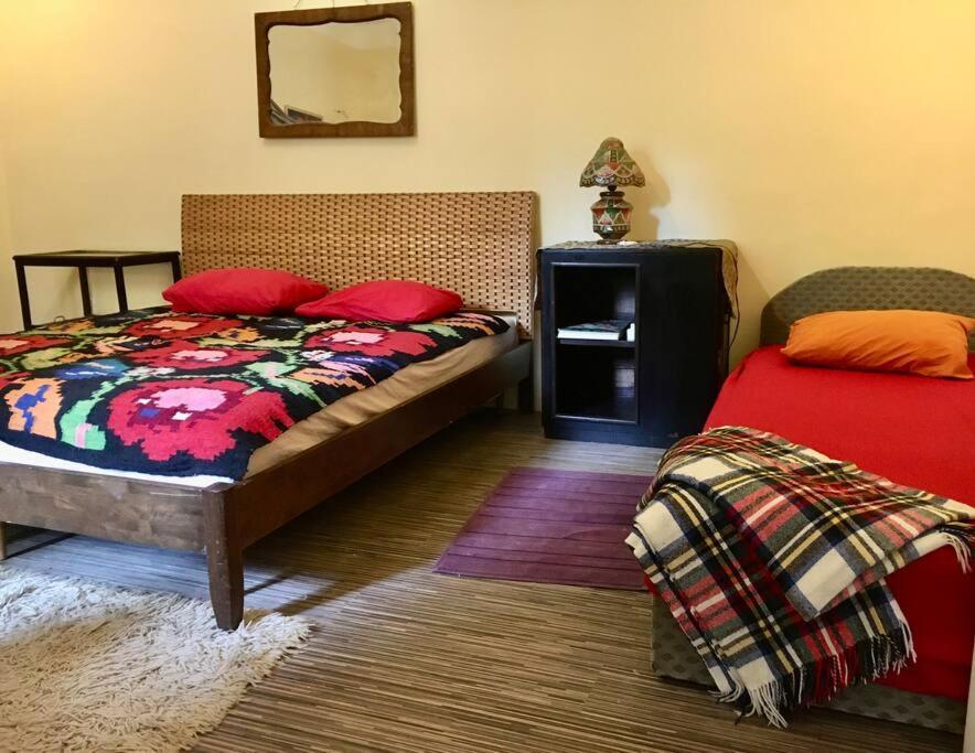 Vintage Studio Apartment, Garden And Free Parking Budapest Exterior foto