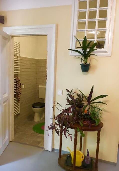Vintage Studio Apartment, Garden And Free Parking Budapest Exterior foto